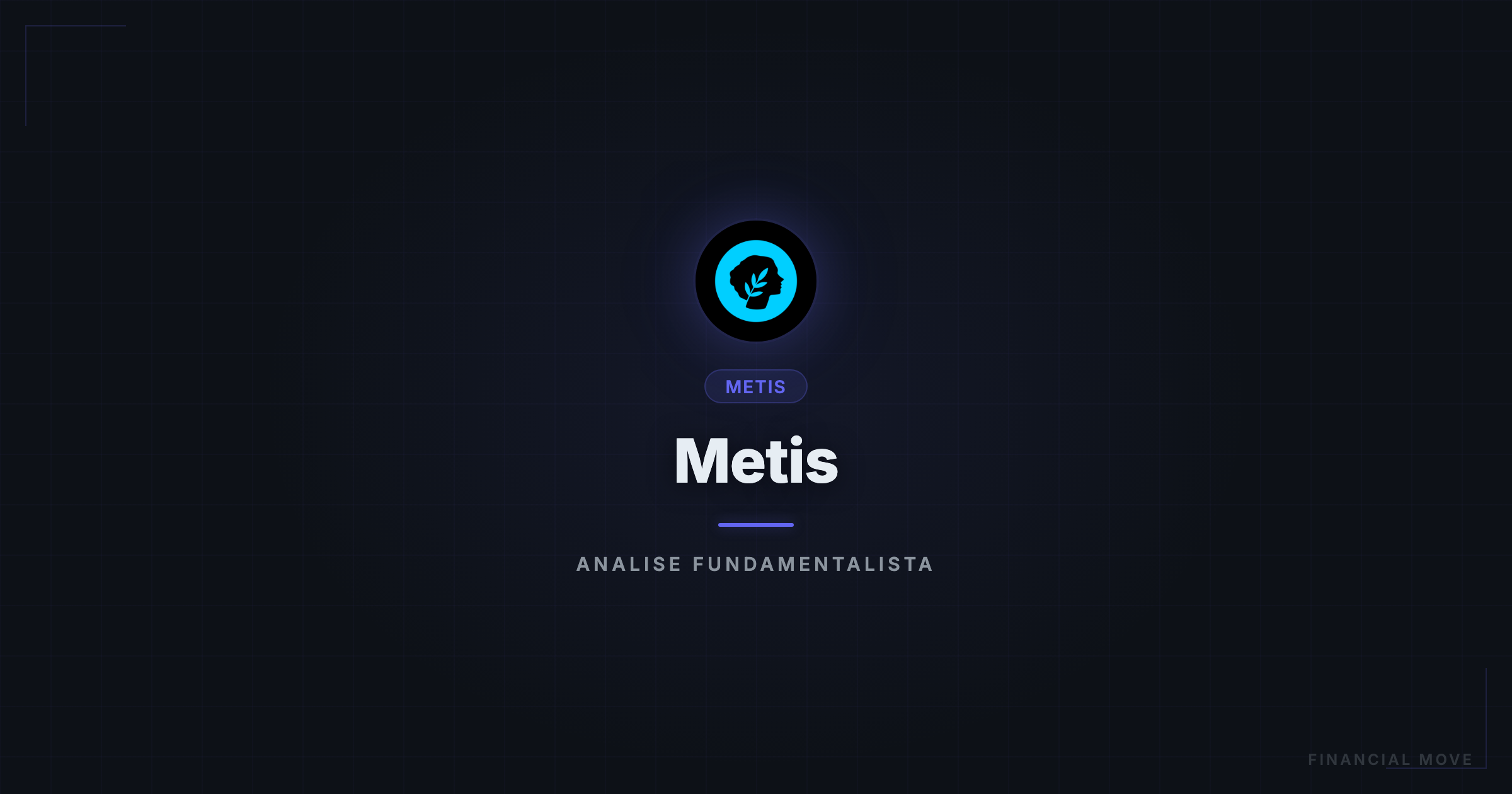 Metis (METIS): análise fundamentalista — Financial Move